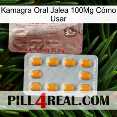 Kamagra Oral Jalea 100Mg Cómo Usar new13